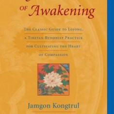 The Great Path of Awakening: The Classic Guide to Lojong, a Tibetan Buddhist Practice for Cultivating the Heart of Compassion