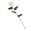 Lamp&Auml; solar&Auml; led pentru gr&Auml;din&Auml;, design crizantem&Auml;, iluminare alb cald, ip65, 80 cm