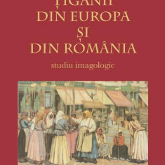 Tiganii din Europa si Romania | Alex Mihai Stoenescu