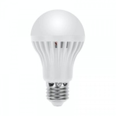 Bec cu LEDuri Economice Glob Mat E27 5W Alb Rece 18C007 XXM foto