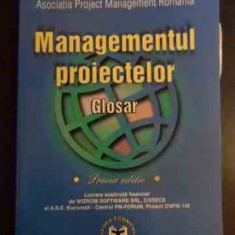 Managementul Proiectelor Glosar - Colectiv ,546306