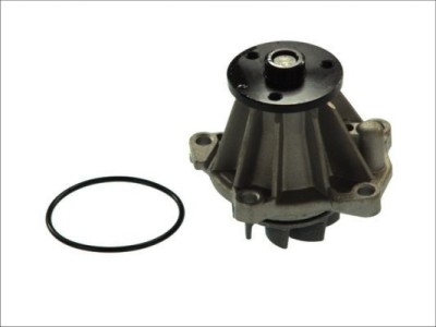 Pompa apa FORD GALAXY (WGR) (1995 - 2006) THERMOTEC D1G033TT foto