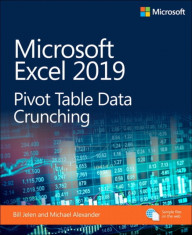 Microsoft Excel 2019 VBA and Macros foto