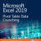 Microsoft Excel 2019 VBA and Macros