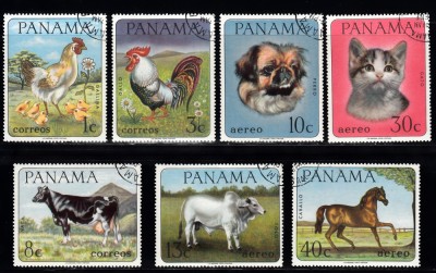 A12 S1 16 - Timbre foarte vechi - Panama - animale domestice foto