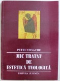 MIC TRATAT DE ESTETICA TEOLOGICA de PETRU URSACHE , 1999