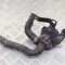 Pompa de apa auxiliara VW GOLF VII Variant BA5, BV5 2013 OEM: 1K0121063P,1K0121093BJ,1K0965561P | 11773625