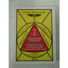 ISTORIOGRAFIE PITOREASCA A ORASULUI GALATI DE LA SACRU LA PROFAN COMPENDIU SPIRITUAL: CATRENE, GLOSSE - PETRE CHIVA-COADA