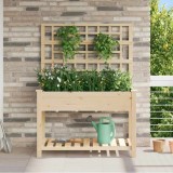 Jardiniere cu raft și spalier, 115x59x152 cm, lemn masiv brad