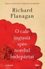 O cale ingusta spre nordul indepartat - Richard Flanagan - Roman