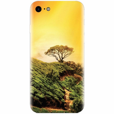 Husa silicon pentru Apple Iphone 5 / 5S / SE, Hill Top Tree Golden Light foto