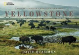 Yellowstone: A Journey Through America&#039;s Park