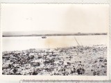 Bnk foto Delta Dunarii - Peisaj pe canale, Alb-Negru, Romania de la 1950, Natura