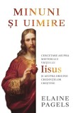Minuni si uimire - Elaine Pagels, Herald