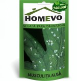 Cumpara ieftin Pulbere naturala impotriva musculitei albe