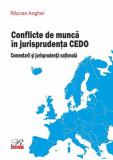 Conflicte de muncă &icirc;n jurisprudența CEDO. Comentarii și jurisprudență națională - Paperback brosat - Răzvan Anghel - Rosetti Internaţional