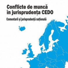 Conflicte de muncă în jurisprudența CEDO. Comentarii și jurisprudență națională - Paperback brosat - Răzvan Anghel - Rosetti Internaţional