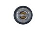 NRF 725206 EASY FIT termostat,lichid racire