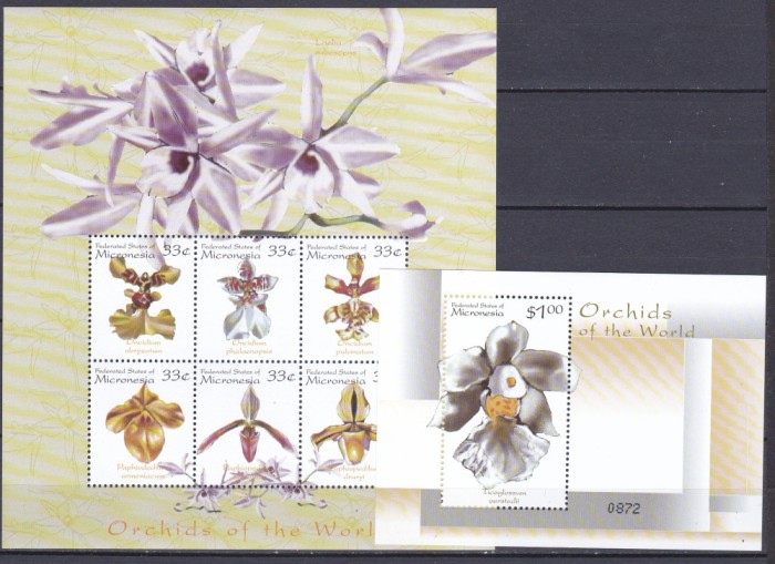 DB1 Flora Orhidee Micronezia 2000 MS + SS MNH