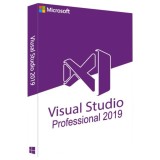 Licenta Microsoft Visual Studio Professional 2019, Licenta Electronica Permanenta