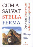 Cum a salvat Stella ferma - Paperback brosat - Chris Trimble, Vijay Govindarajan - Publica