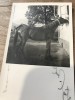 Fotografii Pojorata Suceava
