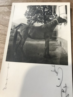 Fotografii Pojorata Suceava foto