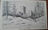 Carte postala, ruinele Ciceului in 1866