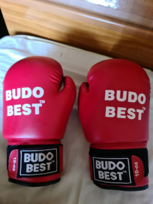 Manusi Box Budo Best Adulti NOI foto