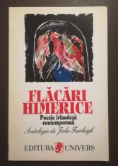 John Fairleigh ed. - Flăcări himerice: poezie irlandeză contemporană
