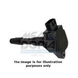 Meat &amp;amp; Doria bobina de inductie