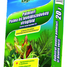 Substrat pentru palmieri si plante verzi AGRO 20 l