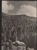 CPI B13608 CARTE POSTALA - TIMISUL DE JOS - CASA DE ODIHNA, RPR, Necirculata, Fotografie