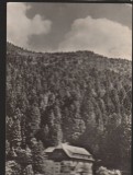 CPI B13608 CARTE POSTALA - TIMISUL DE JOS - CASA DE ODIHNA, RPR