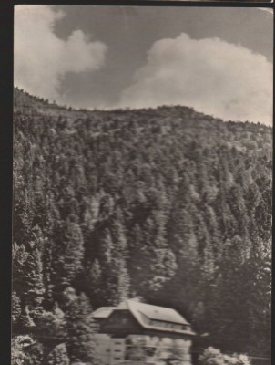 CPI B13608 CARTE POSTALA - TIMISUL DE JOS - CASA DE ODIHNA, RPR foto