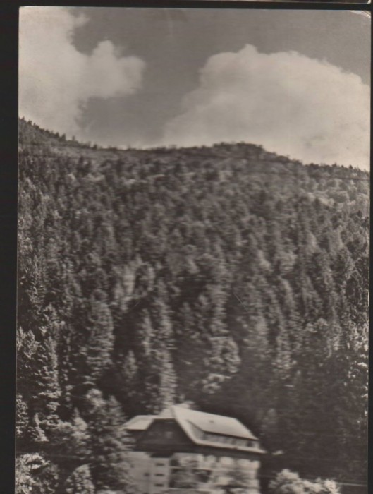 CPI B13608 CARTE POSTALA - TIMISUL DE JOS - CASA DE ODIHNA, RPR