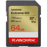 Card Memorie SDXC SanDisk Extreme Go, 64Gb, Clasa 10 / UHS-1 U1 SDSDXGN-064G-GNCIN