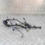 Cablaj Usa Dreapta Spate Tesla Model S 2017 Original 17710010