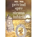 Vasile Preda - Privind spre steaua iubirii - roman - 137155