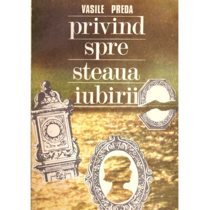 Vasile Preda - Privind spre steaua iubirii - roman - 137155