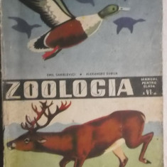 Emil Sanielevici, Al. Dabija - Zoologia, manual pentru clasa a VI-a (clasa 6)