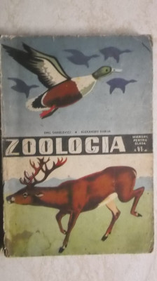 Emil Sanielevici, Al. Dabija - Zoologia, manual pentru clasa a VI-a (clasa 6) foto