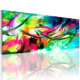 Cumpara ieftin Tablou - Madness of color 135x45 cm