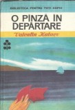 O panza in departare - Valentin Kataev