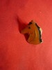 Insigna veche - CAL ,cu buton , metal si email ,h=1,7cm