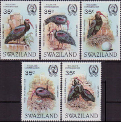 SWAZILAND 1983 FAUNA PASARI IBIS foto