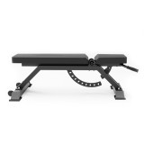 Banca Reglabila inSPORTline X-NT FB10 FitLine Training