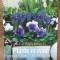 Plante in vase pentru toate anotimpurile Readers Digest