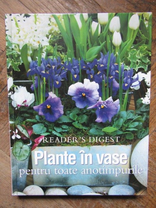 Plante in vase pentru toate anotimpurile Readers Digest