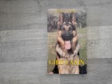 Ghid canin de Janos Szinak,Istvan Veress